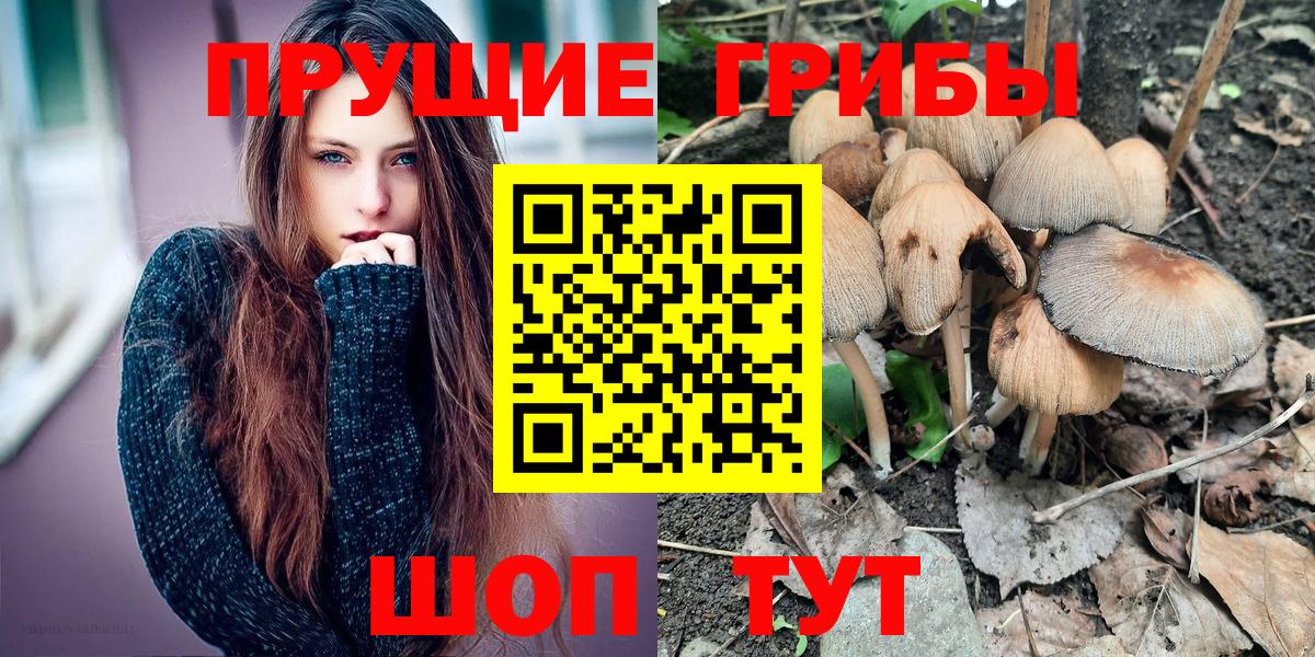 Псилоцибиновые грибы прущие грибы Выборг