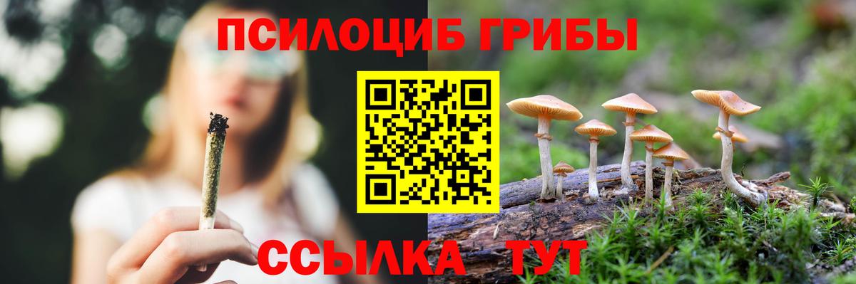 купить   Галлюциногенные грибы мицелий  Вход с VPN  Галлюциногенные грибы Magic Shrooms  Выборг 